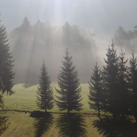 Gite Vallee Verte Burdignin Zewnętrze zdjęcie