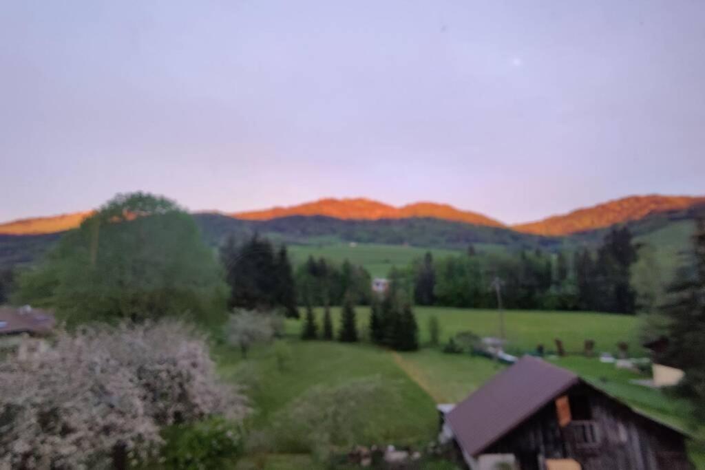 Gite Vallee Verte Burdignin Zewnętrze zdjęcie