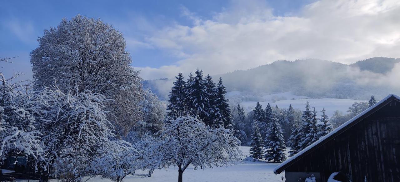 Gite Vallee Verte Burdignin Zewnętrze zdjęcie